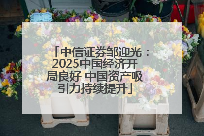 中信证券邹迎光：2025中国经济开局良好 中国资产吸引力持续提升